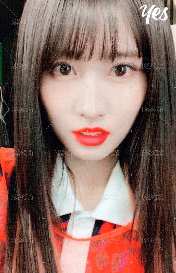 YES or YES 專輯卡  正面