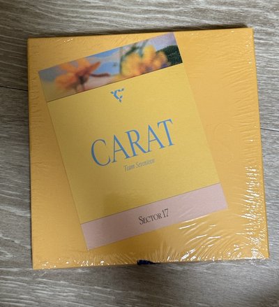 正四後續 空專（可當綁）