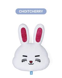 MINITEEN 抱枕 ｜CHOITCHERRY