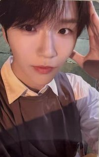 Steady 隨機卡 B版