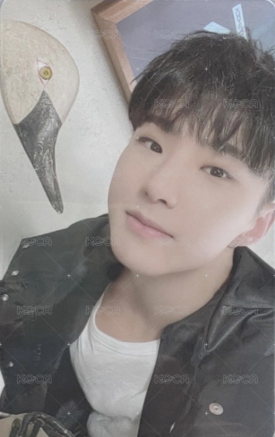 MINI10 專輯卡 WVS電子專 ver. 正面