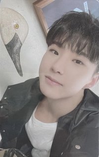 MINI10 專輯卡 WVS電子專 ver.