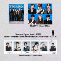 費加羅 A版雜誌配置