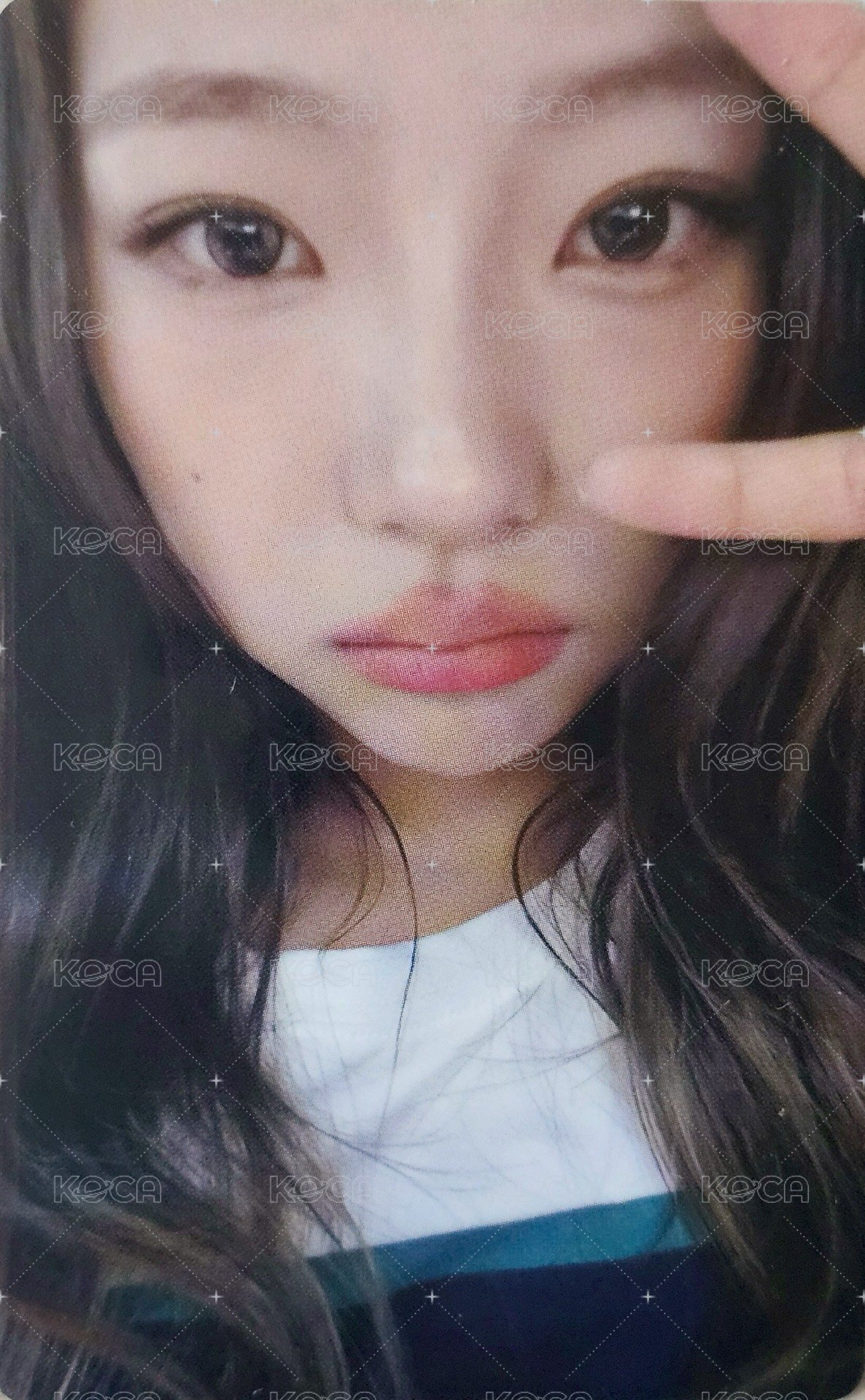 迷一 ju 特典卡  正面