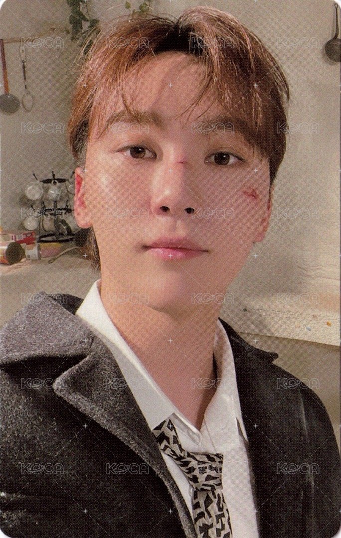 正四 專輯卡 正規四｜WVS電子專ver. 正面