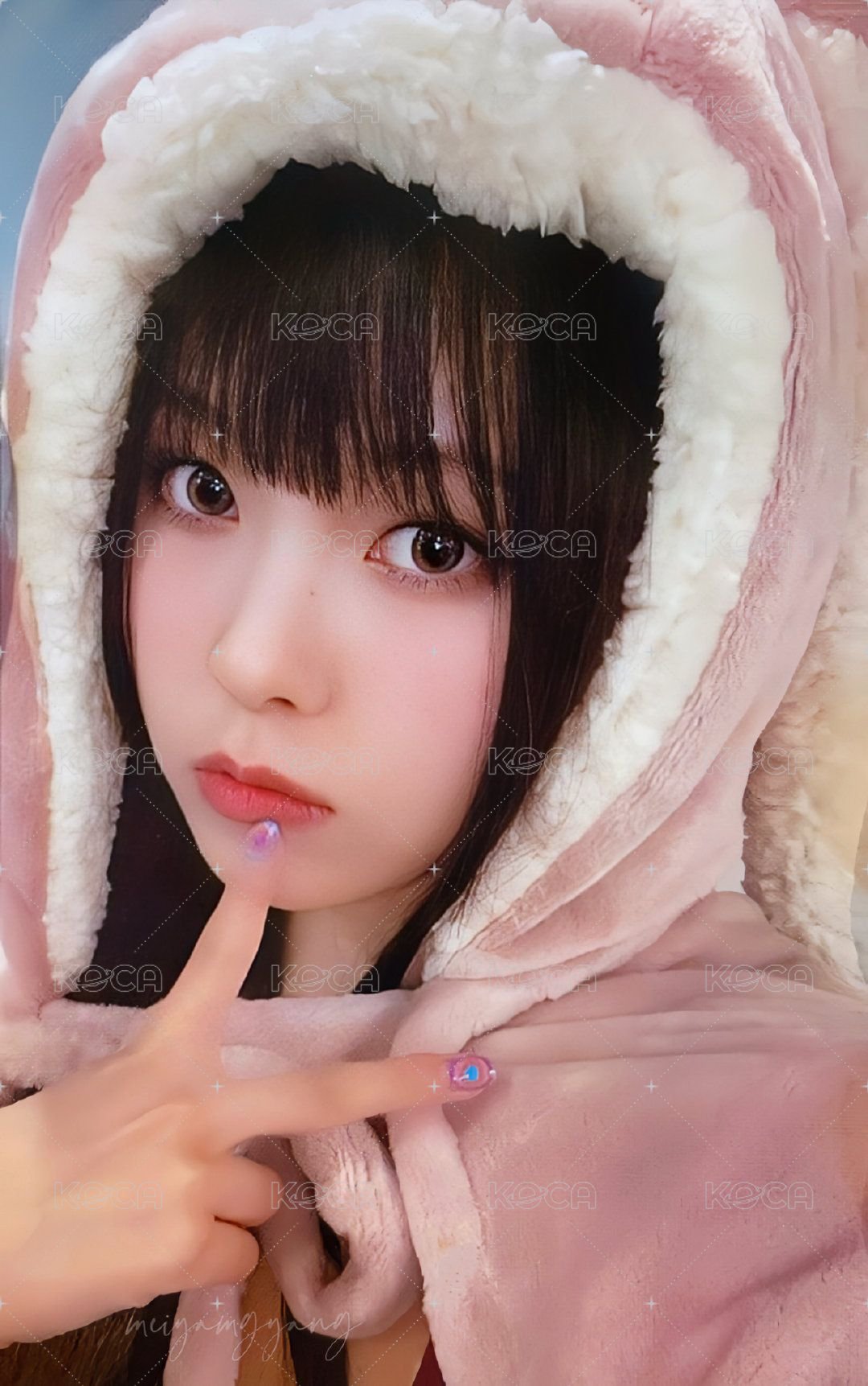 expérgo el 幸運卡 兔子毛毯圭 正面