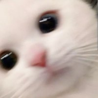 (*ˉ︶ˉ*)