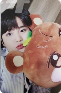 ANITEEZ IN ICE CITY 周邊卡 plush cushion