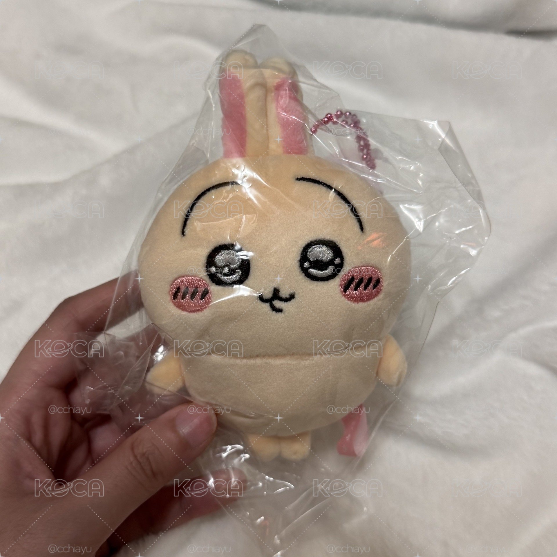 水汪汪兔