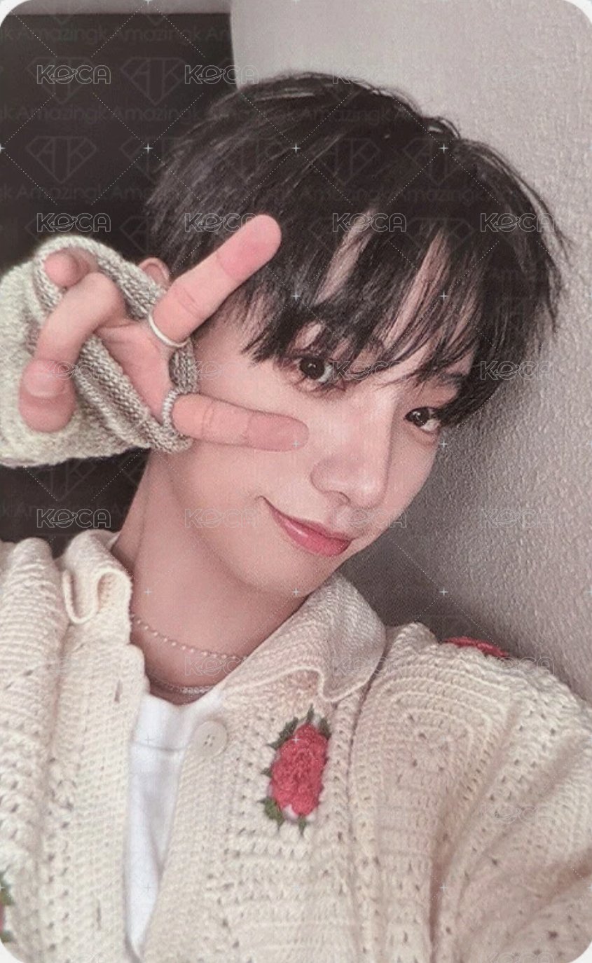 WHY.. wvs 特典卡 特典 3 正面