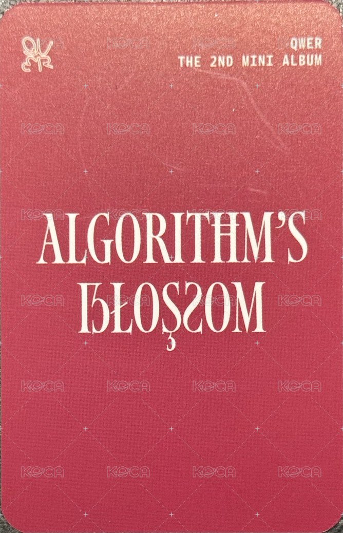 迷二 Kpopstore 線下 4.0 簽售卡  背面