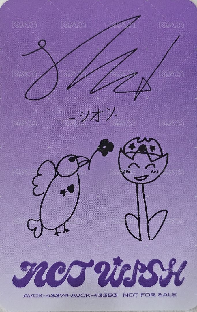 Songbird 專輯卡 Nct Wish Sion  日版專卡 背面