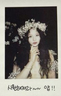 仲夏夜 專輯卡 普版 Forest 拍立得