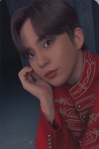 Will MINIRECORD Set 特典卡 