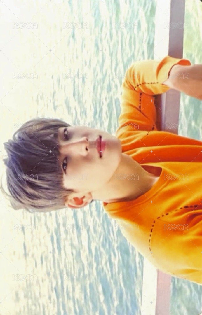 正二 專輯卡 正規二｜綠ver. 正面