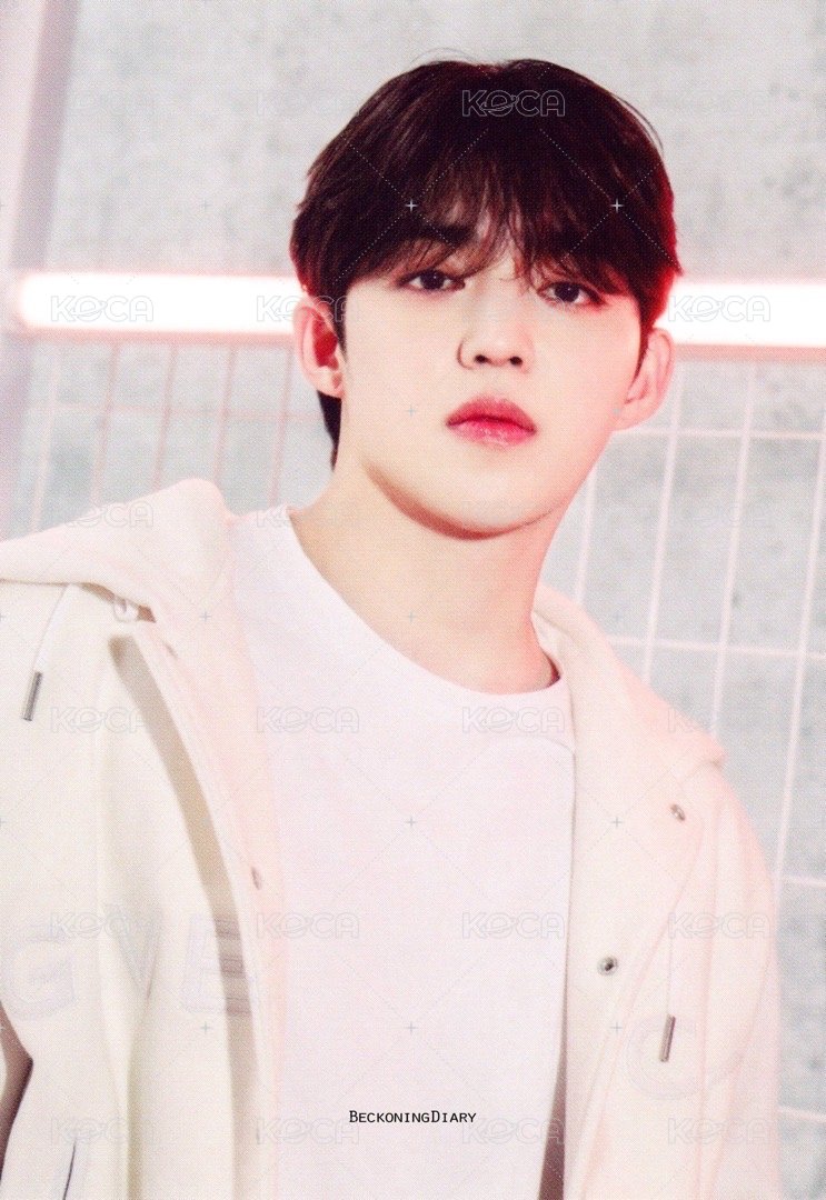 FOLLOW AGAIN 隨機卡 ｜日巡卡包 正面