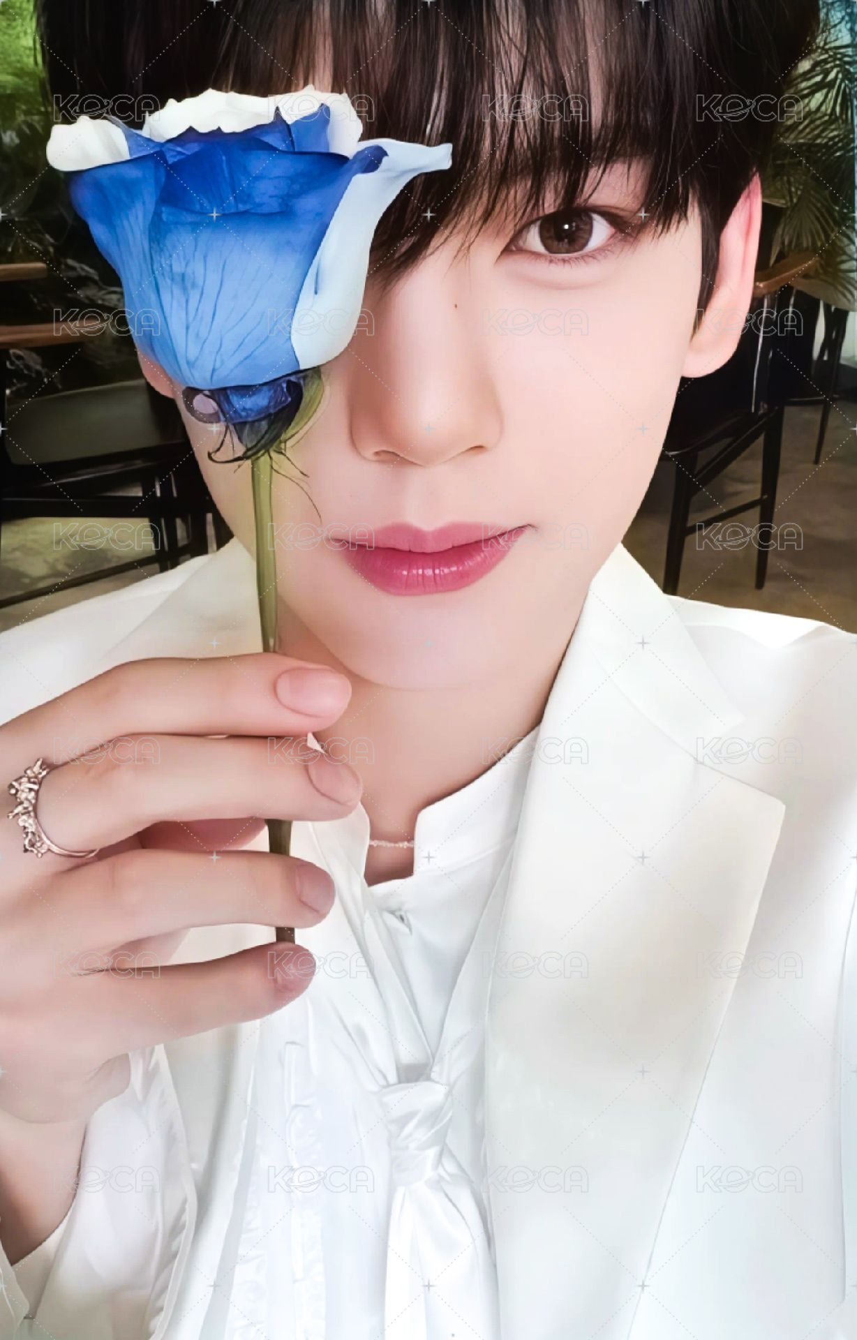 大邱快閃 周邊卡 蠟燭卡 正面