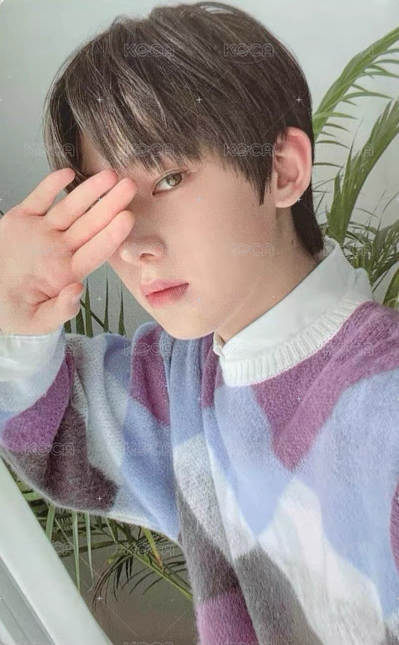 21回憶錄DVD 演唱會 DVD / CD 卡  正面