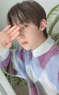 21回憶錄DVD 演唱會 DVD / CD 卡 