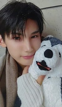 雪明 專輯卡 單封專卡D1