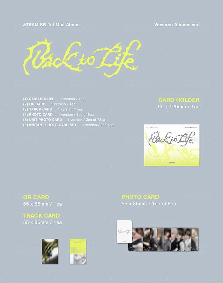 Photocard Box(WVS Albums ver)