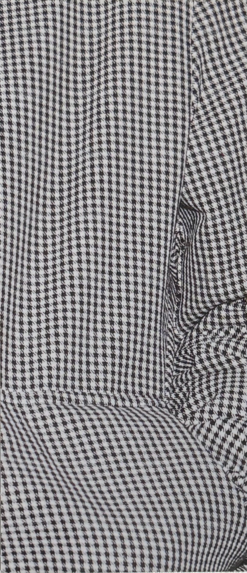 正二 專輯卡  背面