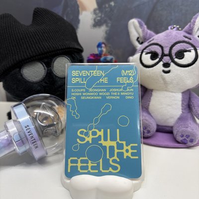 🍕碩珉DK｜MINI12｜專輯卡｜FEEL BLUE ver.