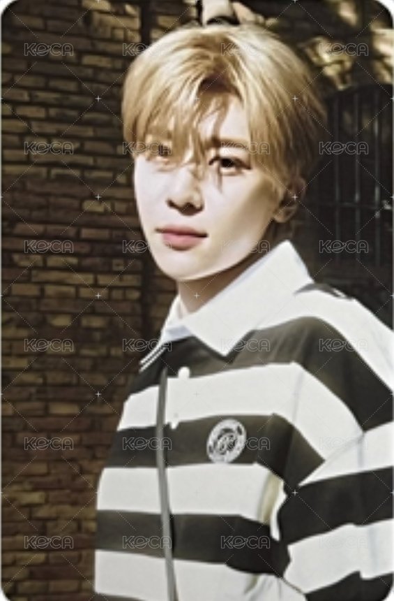 WISH STATION 快閃 隨機卡 B版 正面