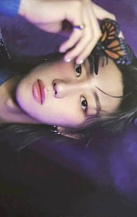 精選專 專輯卡 WVS電子專ver.