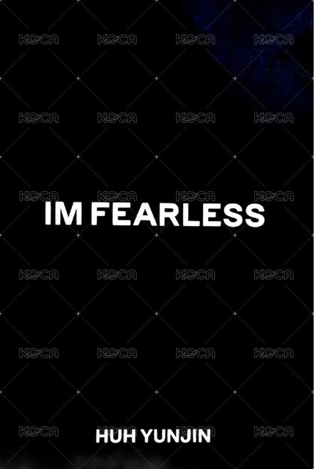 FEARLESS 專輯卡 黑版專卡 背面