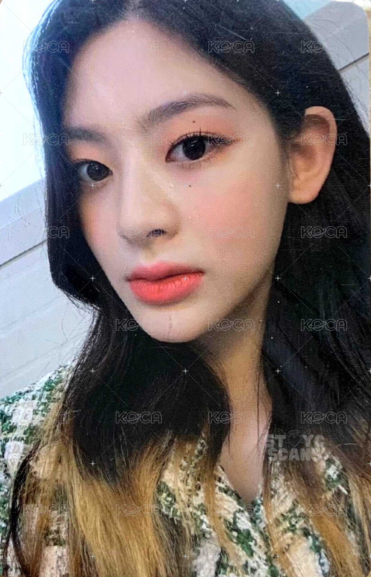 STEREOTYPE wd 3.0 簽售卡  正面