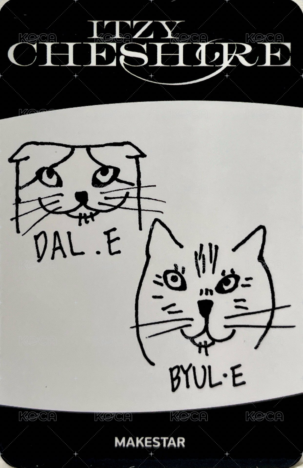 CHESHIRE ms 1.0 幸運卡  背面