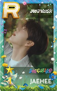 Songbird BEST 遊戲卡 