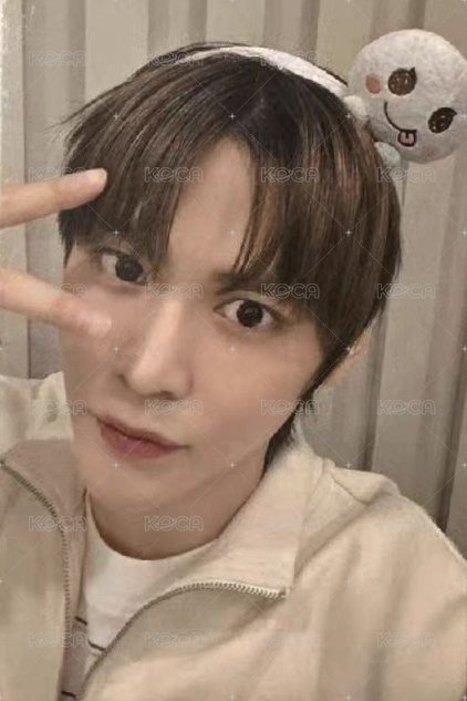 愛寶樂園 周邊卡 髮箍卡 正面