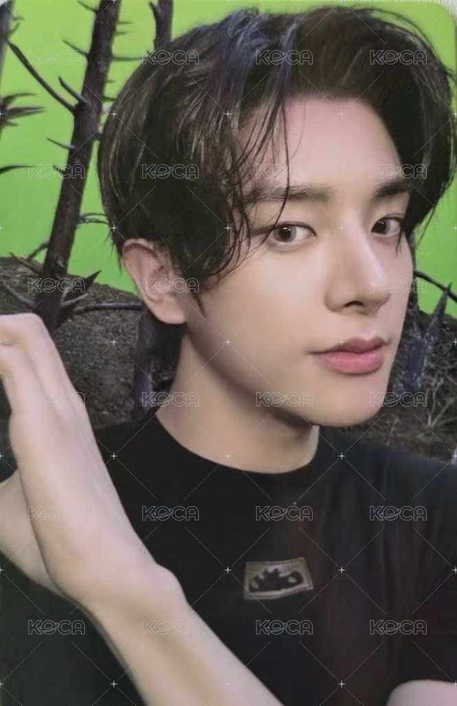 迷六 yzy 預售1.0 特典卡  正面