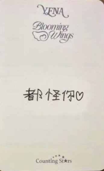 迷四 數星星 上海快閃店 簽售卡  背面