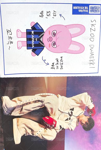 KARMA 專輯卡 電子專娃身分證卡 正面