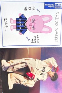 KARMA 專輯卡 電子專娃身分證卡