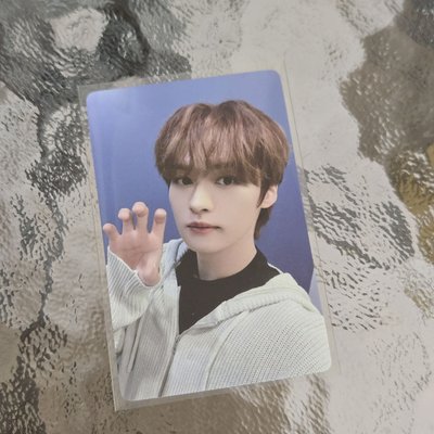 貓爪旻（中背）