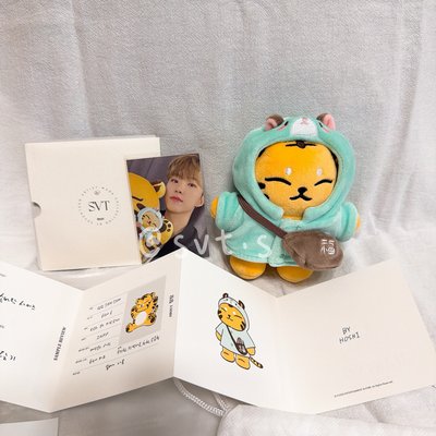 全新 seventeen 成員自製周邊 小眈眈 TAMTAM 權順榮 hoshi 