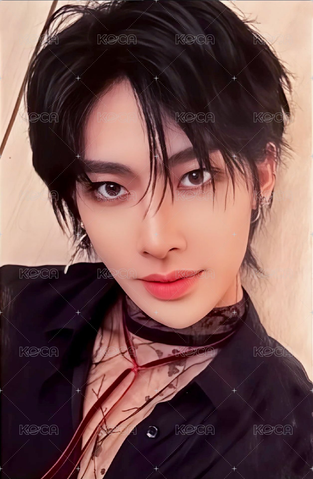 24'JP FC 演唱會 DVD / CD 卡 通常盤 自拍 正面