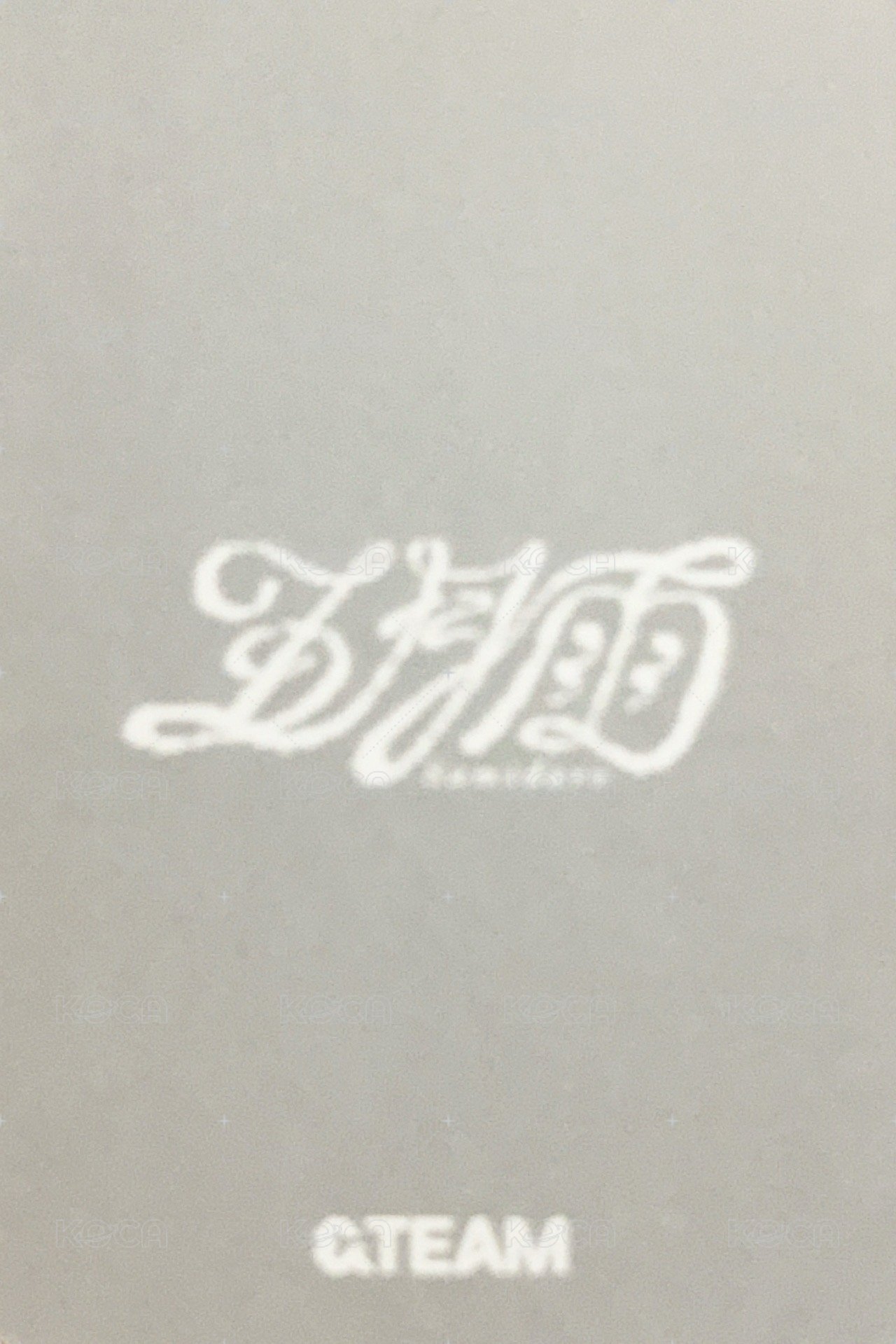 五月雨 環球 特典卡  背面