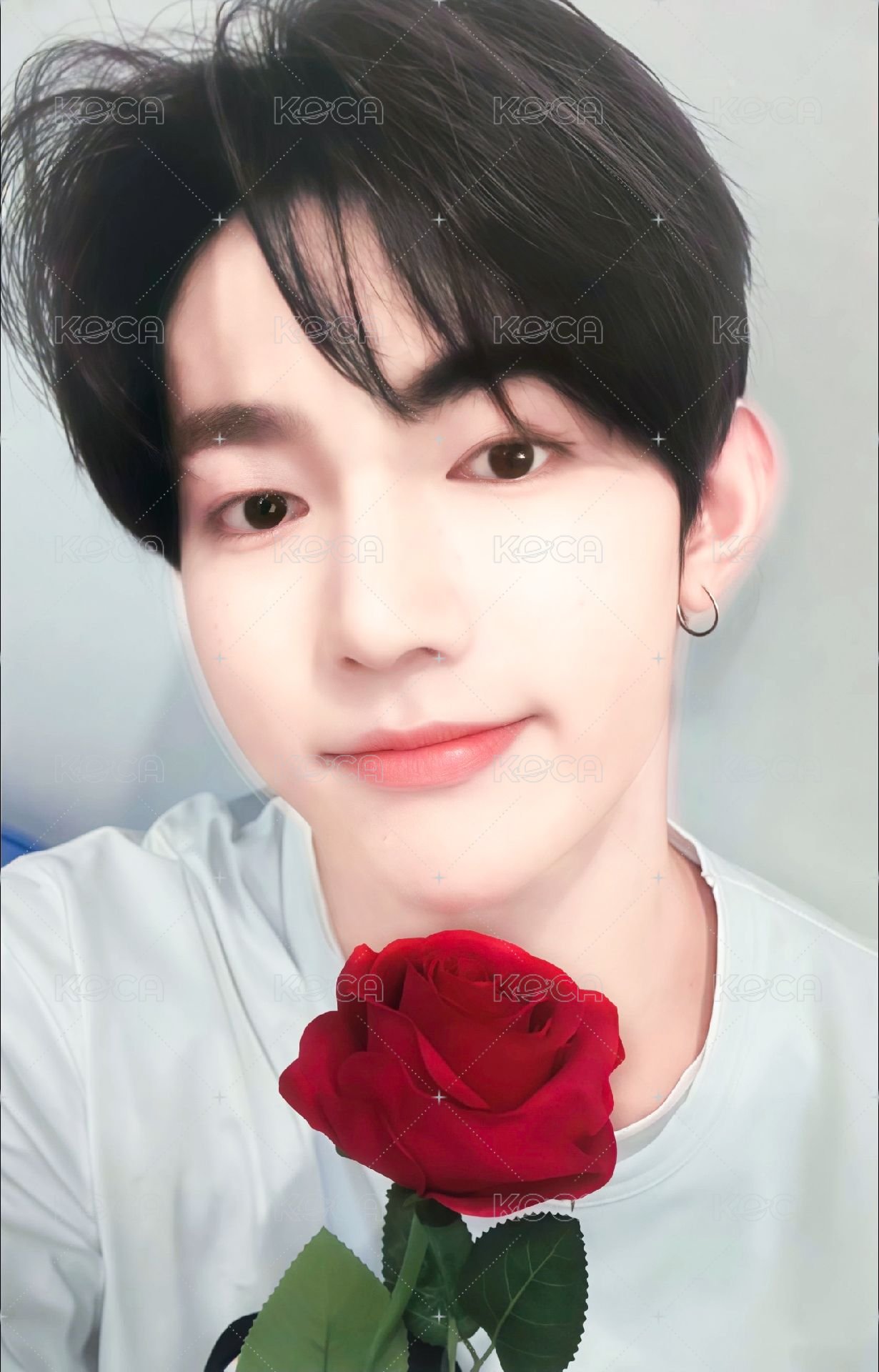 迷四 sr 3.0 特典卡 七夕玫瑰 ver. 正面