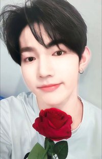 迷四 sr 3.0 特典卡 七夕玫瑰 ver.