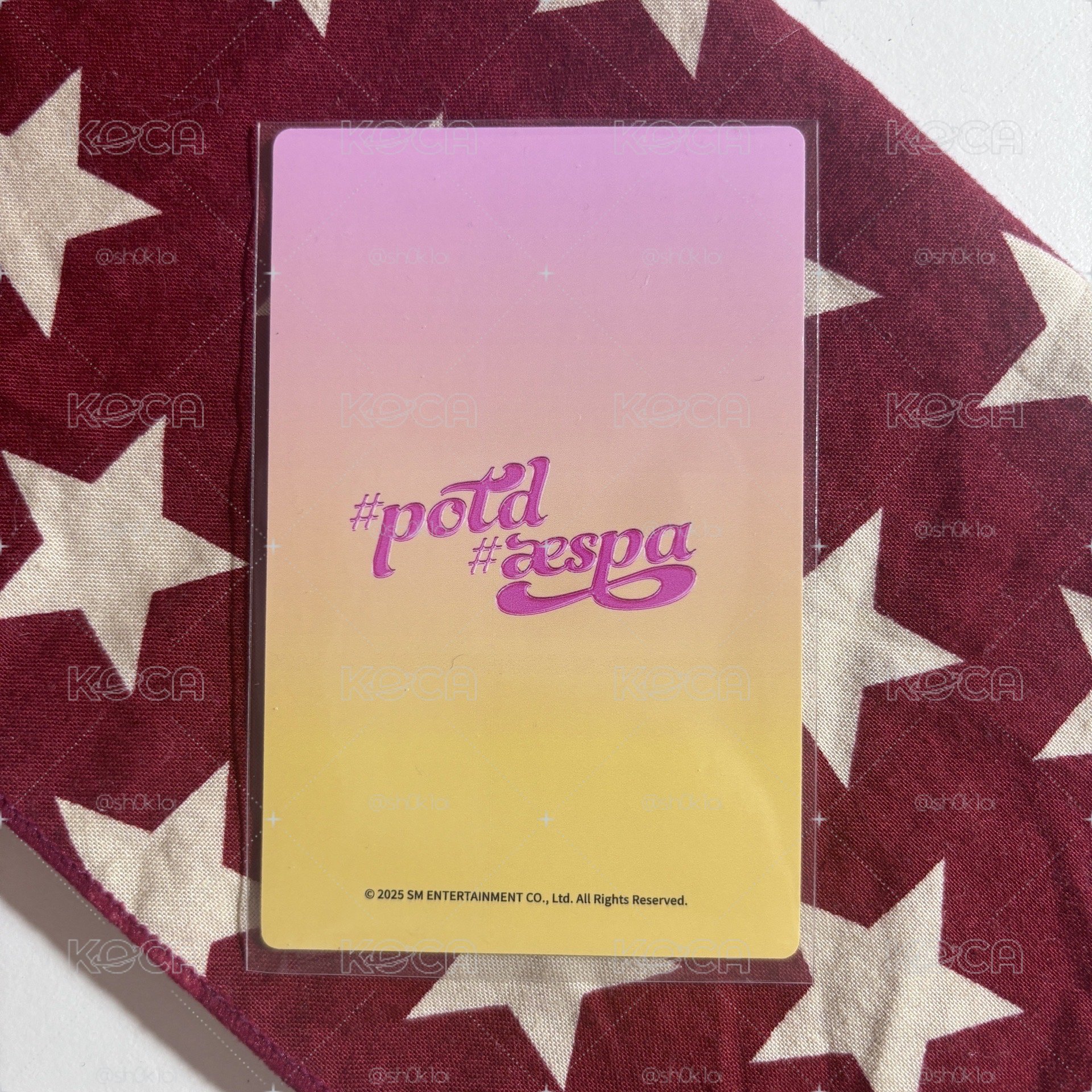 potd展會 衛衣 冬 ⋆.˚⊹⁺