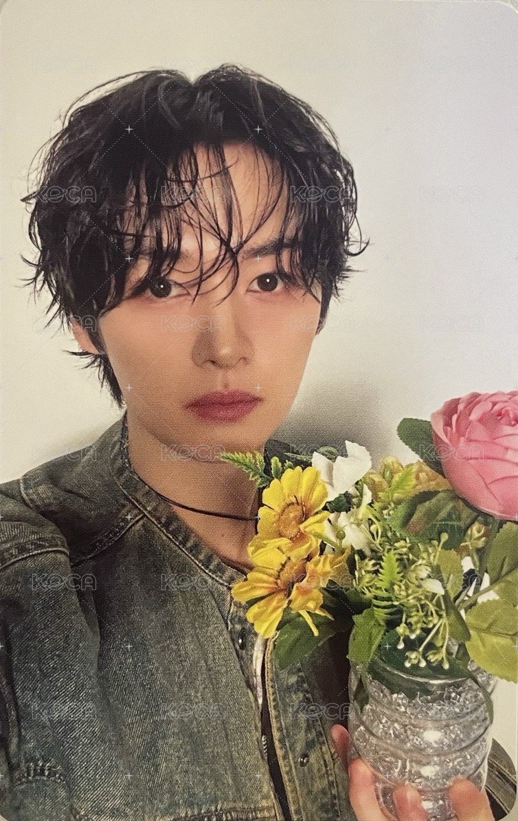 Hollow 專輯卡 FC盤 正面