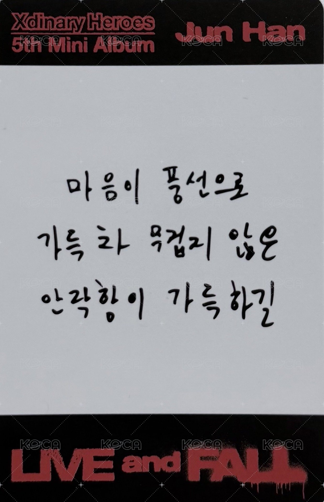 LIVE and FALL 專輯卡 FALL NEMO VER. 背面