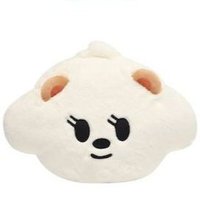 PPULBATU快閃 抱枕 BAMGEUT