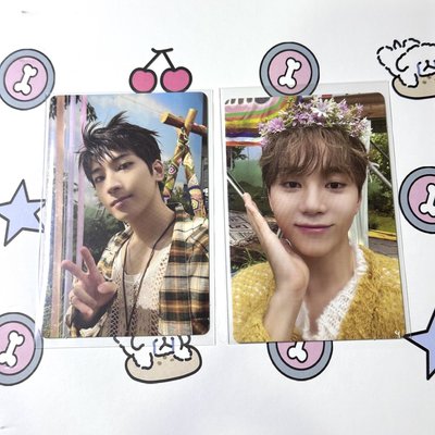 SVT Mini11專卡 PM214ver