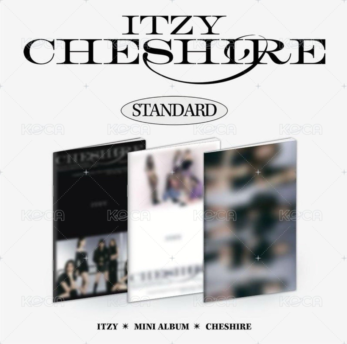 Standard ver.